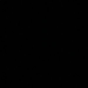 Meet your Posher, Chrystanna